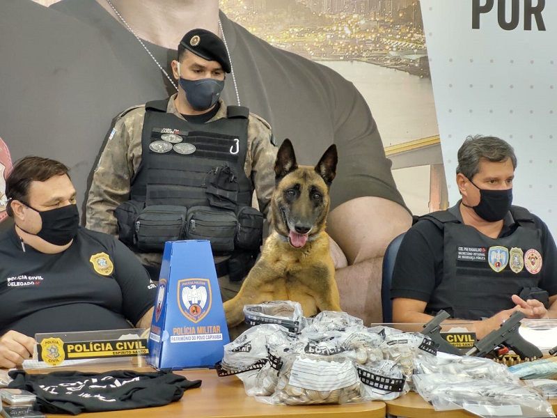 Foram 14 cumprimentos de mandados de prisão por homicídios, 11 mandados de prisão por crimes diversos, 29 em flagrante, e 4 adolescentes (Foto: Taynara Nascimento)