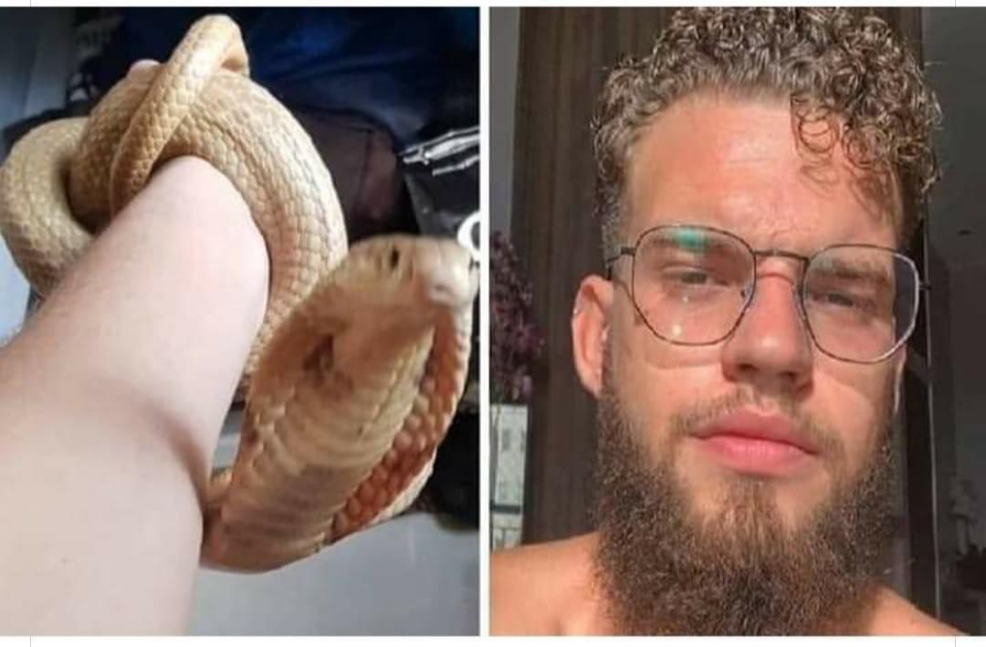 (Foto: Reprodução/Twitter)