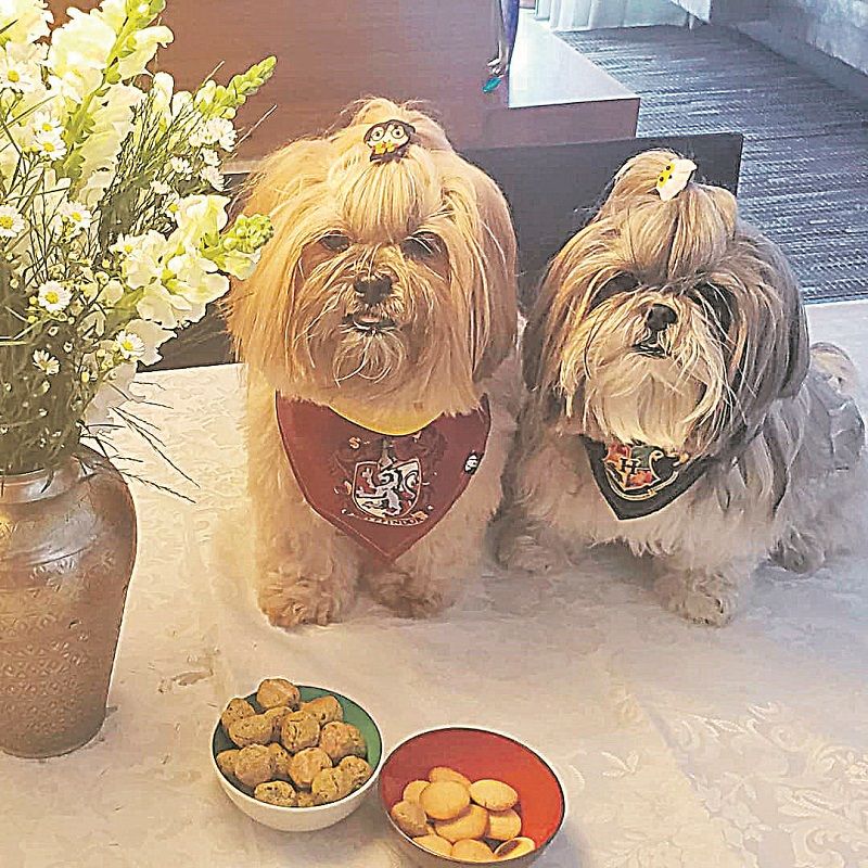 Fendi, de 8 anos, e Sara, de 9, não dispensam petiscos (Foto: Acervo pessoal)