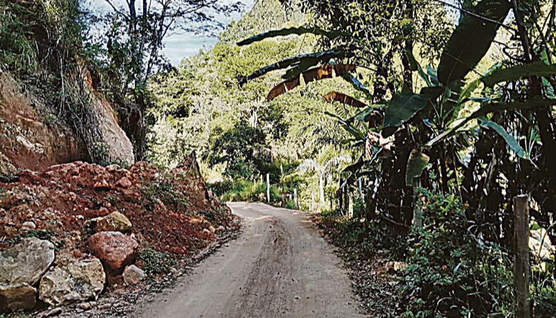 (Foto: José Ferreira Lima Filho)