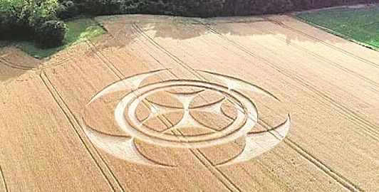 Campo de trigo tem atraído a atenção de curiosos na cidade de Vimy (Foto: Divulgação)