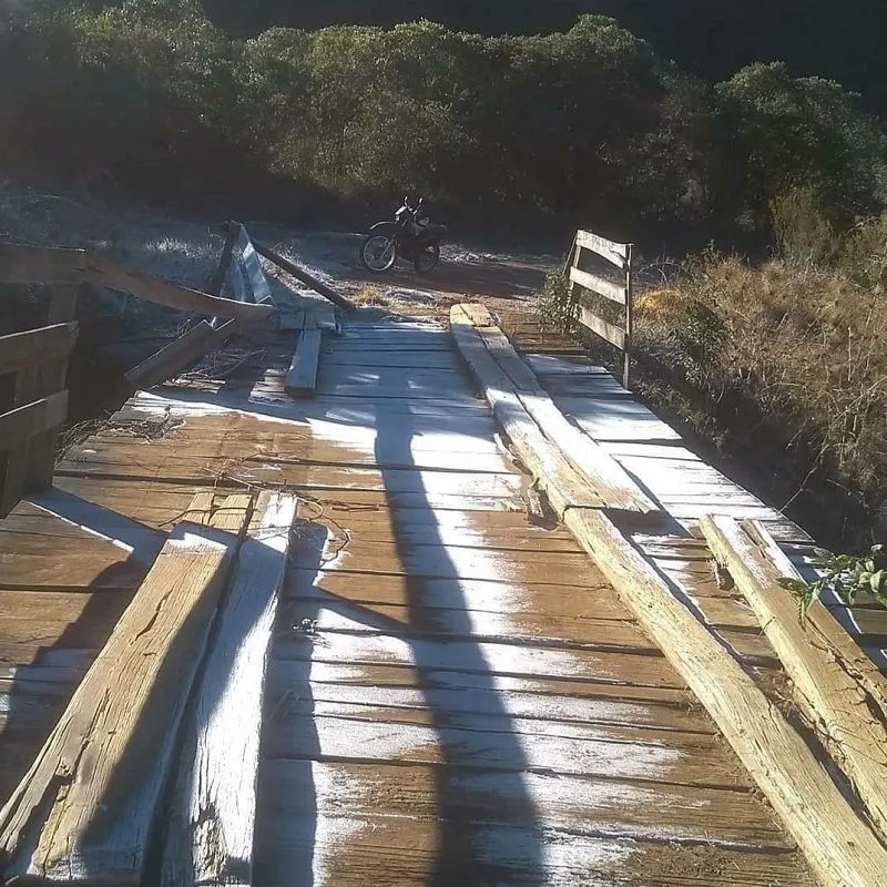 Imagem ilustrativa da imagem FOTOS | Gelo cobre chão e plantas na região capixaba do Caparaó