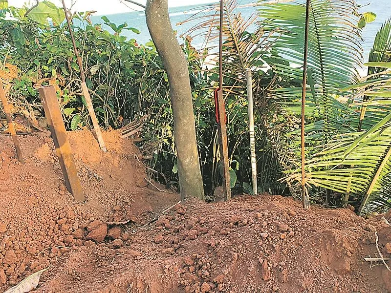 Imagem ilustrativa da imagem Invasão em área de preservação ambiental