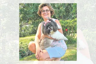 Imagem ilustrativa da imagem Principais erros que o dono de cão comete