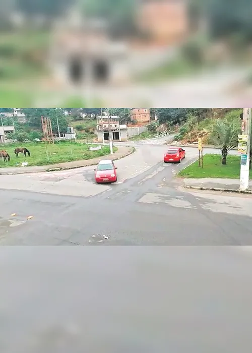 Imagem ilustrativa da imagem Manobra proibida em avenida