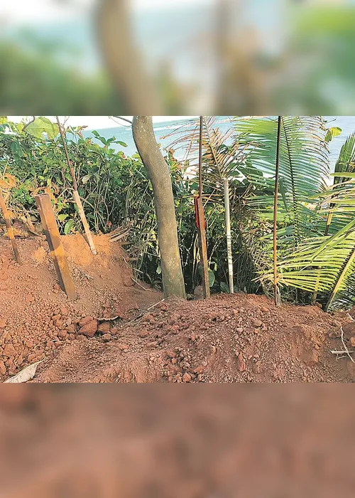 Imagem ilustrativa da imagem Invasão em área de preservação ambiental