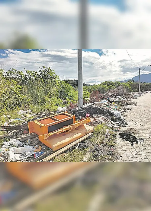 
          Imagem ilustrativa da imagem Entulhos em local impróprio
          