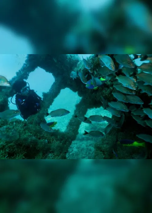 
          Imagem ilustrativa da imagem Dez mil mergulhadores já visitaram navio afundado que virou recife artificial em Guarapari
          