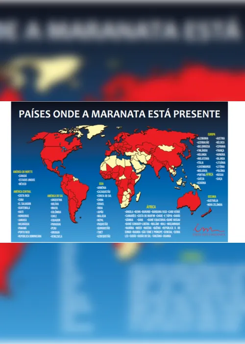 Imagem ilustrativa da imagem Missão de fé nos quatro cantos da Terra