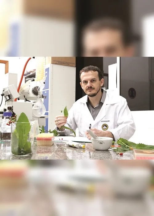 Imagem ilustrativa da imagem Plantas e flores nutritivas para incluir na alimentação