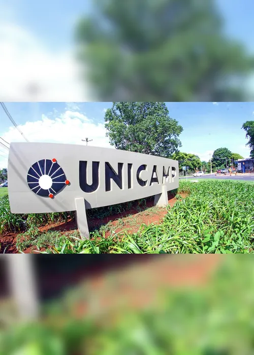 Imagem ilustrativa da imagem Estudo da Unicamp apresenta nova forma para tratar esquizofrenia