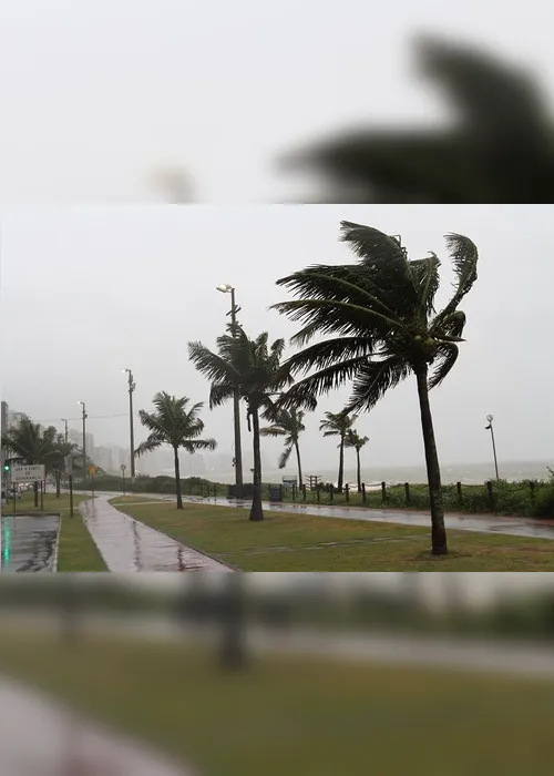 Imagem ilustrativa da imagem Alerta para ventos de até 75 km/h no Estado