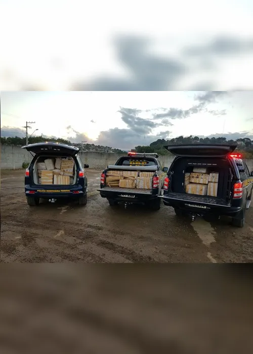Imagem ilustrativa da imagem Cão farejador ajuda polícia a encontrar uma tonelada de droga na BR-101