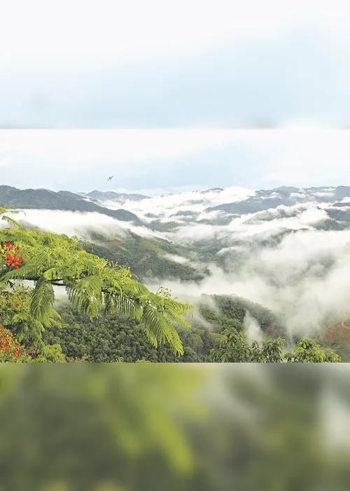 
          Imagem ilustrativa da imagem Venda na Ceasa cresce durante a pandemia
          