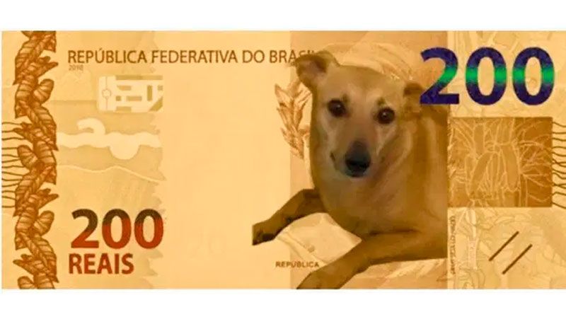 Montagem com o cão-caramelo circula nas redes sociais (Foto: Reprodução / Redes Sociais)