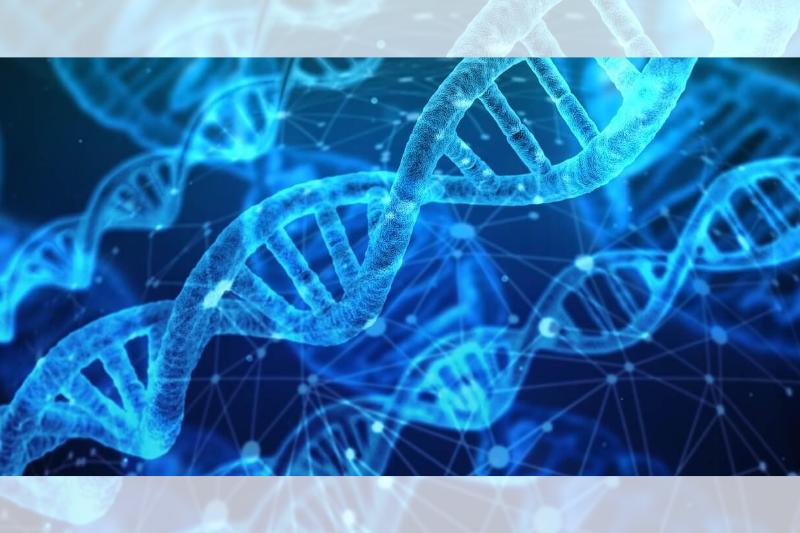 DNA (Foto: Internet)
