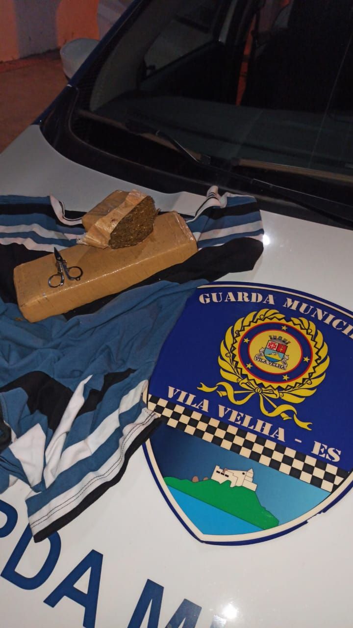 Maconha estava em quadra da escola (Foto: Divulgação/ GMVV)