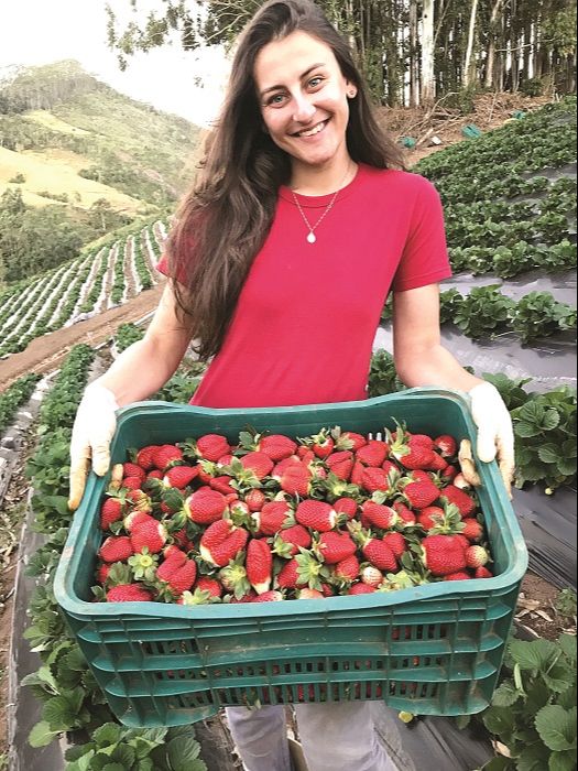 Jamila Brambilla ficou conhecida como a “menina dos morangos” (Foto: Acervo pessoal)