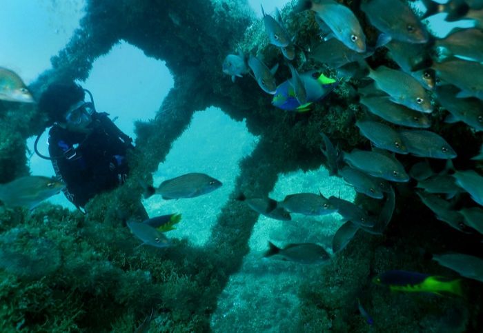 Mais de 10 mil mergulhadores profissionais já visitaram o navio (Foto: Julio Yaber/ Atlantes)