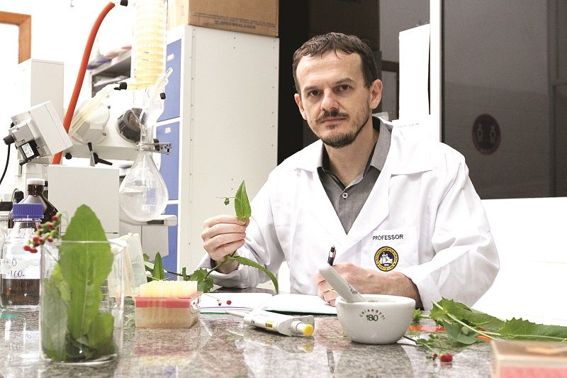 Professor e pós-doutor em Ciências Farmacêuticas, Marcio Fronza: pesquisas mostram poder medicinal (Foto: Leone Iglesias/ AT)