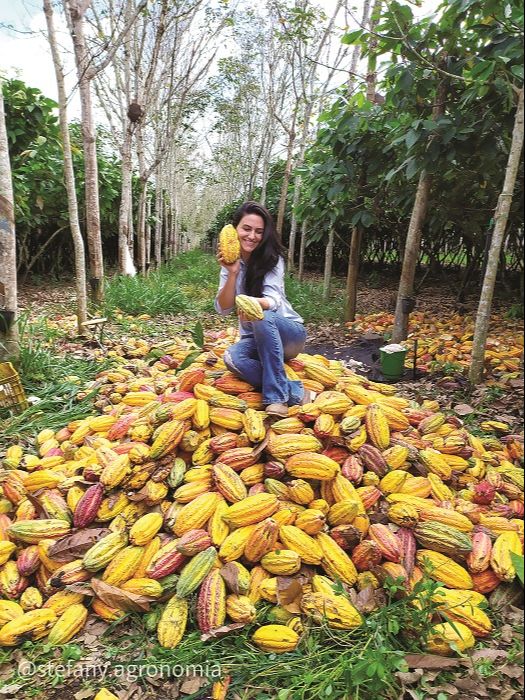 Stefany Sampaio faz vídeos de plantio e colheita do cacau, em Linhares (Foto: Acervo pessoal)
