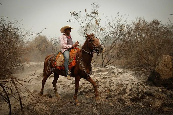 Imagem ilustrativa da imagem FOTOS| Em 14 dias do mês, Amazônia já tem mais queimadas que em todo setembro do ano passado