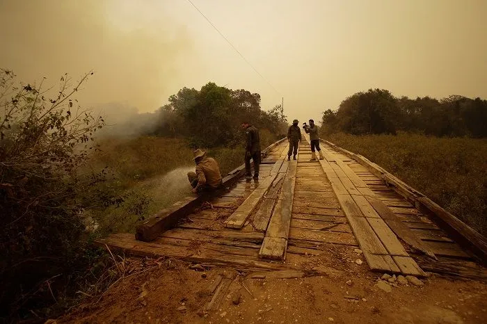 Imagem ilustrativa da imagem FOTOS| Em 14 dias do mês, Amazônia já tem mais queimadas que em todo setembro do ano passado