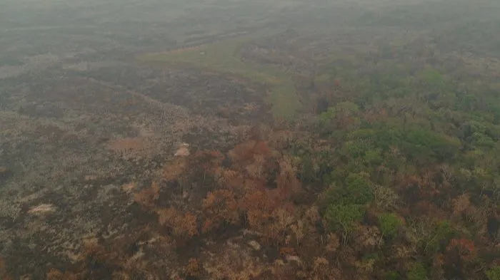 Imagem ilustrativa da imagem FOTOS| Em 14 dias do mês, Amazônia já tem mais queimadas que em todo setembro do ano passado