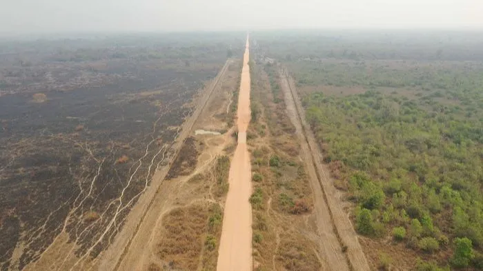 Imagem ilustrativa da imagem FOTOS| Em 14 dias do mês, Amazônia já tem mais queimadas que em todo setembro do ano passado
