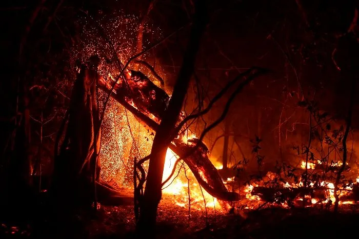 Imagem ilustrativa da imagem FOTOS| Em 14 dias do mês, Amazônia já tem mais queimadas que em todo setembro do ano passado