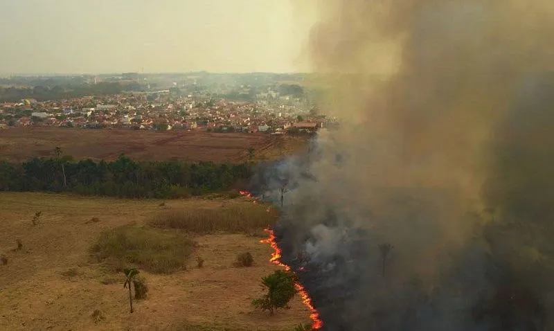 Imagem ilustrativa da imagem Fumaça das queimadas no Brasil chega a países da América Latina