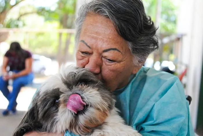 Imagem ilustrativa da imagem FOTOS | Hospital organiza encontro para paciente e cachorro matarem a saudade