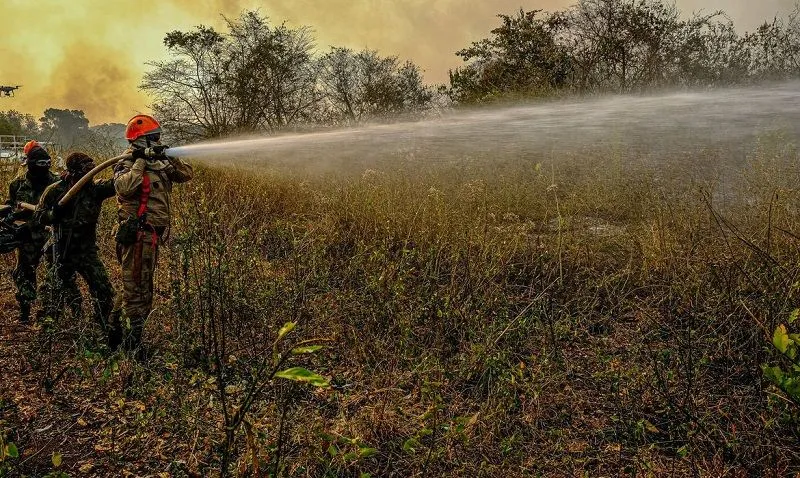 Imagem ilustrativa da imagem Mato Grosso pede ajuda da Força Nacional no combate a incêndios