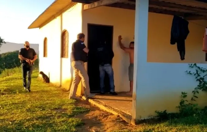 Imagem ilustrativa da imagem Polícia Civil realiza operação contra furto e abate clandestino de gado