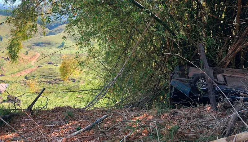 Imagem ilustrativa da imagem Policiais capotam carro em rodovia e são salvos por bambuzal