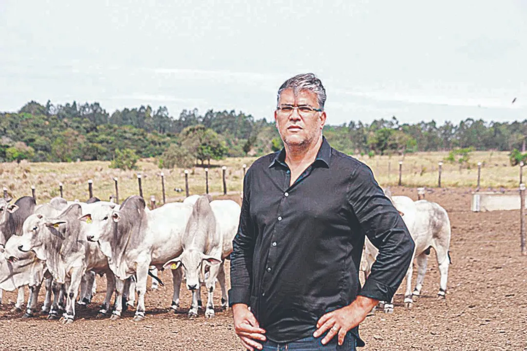 Imagem ilustrativa da imagem Carne produzida no Espírito Santo faz sucesso em 44 países