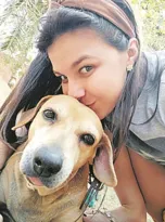 Imagem ilustrativa da imagem Câncer é principal causa de mortes entre pets