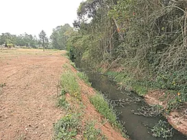 Imagem ilustrativa da imagem Risco para vegetação e córrego