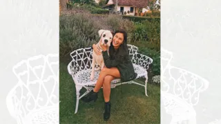 Imagem ilustrativa da imagem Cães com bronquite lotam veterinárias