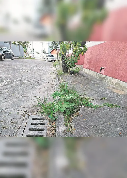 
          Imagem ilustrativa da imagem Mato alto em rua sem capina
          