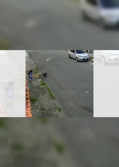 Imagem ilustrativa da imagem VÍDEO | Cães atacam menino de 10 anos na região de Fradinhos