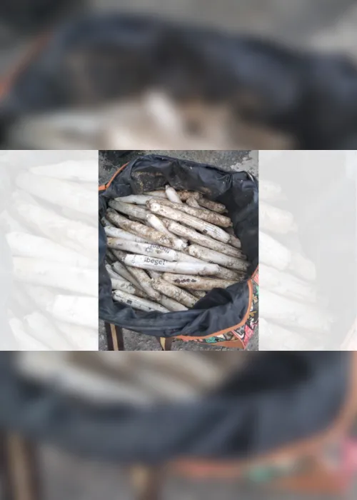 Imagem ilustrativa da imagem Polícia encontra caixa com 84 bananas de dinamites em Cariacica
