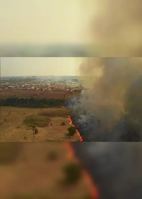 Imagem ilustrativa da imagem Fumaça das queimadas no Brasil chega a países da América Latina