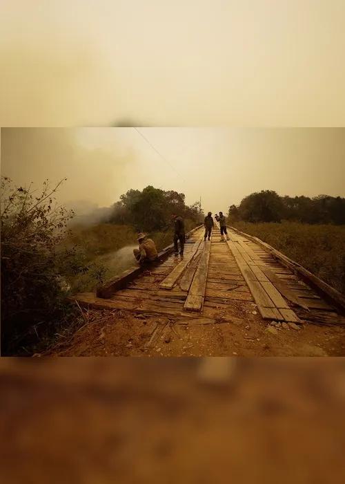 Imagem ilustrativa da imagem FOTOS| Em 14 dias do mês, Amazônia já tem mais queimadas que em todo setembro do ano passado