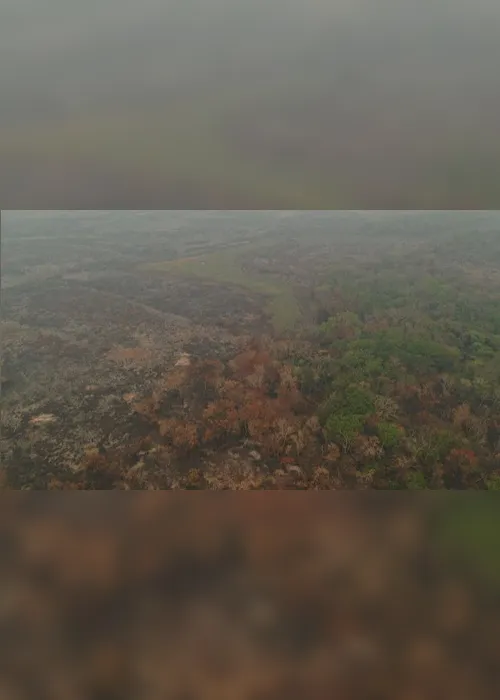 Imagem ilustrativa da imagem FOTOS| Em 14 dias do mês, Amazônia já tem mais queimadas que em todo setembro do ano passado