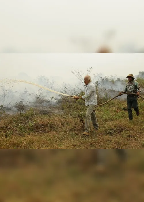 Imagem ilustrativa da imagem FOTOS| Em 14 dias do mês, Amazônia já tem mais queimadas que em todo setembro do ano passado