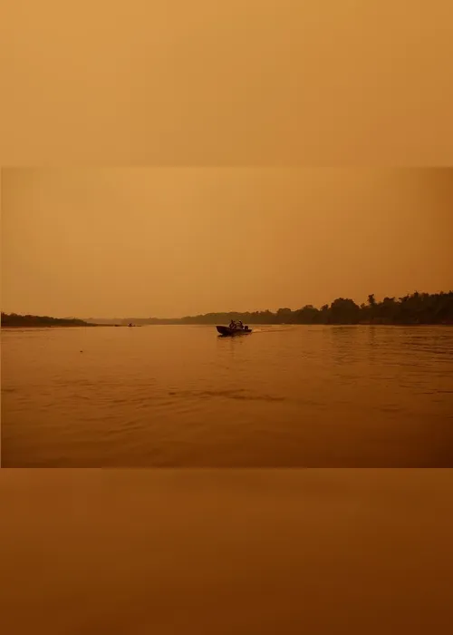 Imagem ilustrativa da imagem FOTOS| Em 14 dias do mês, Amazônia já tem mais queimadas que em todo setembro do ano passado
