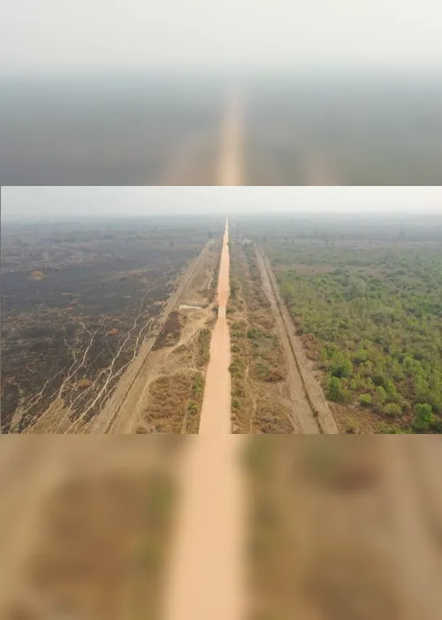 Imagem ilustrativa da imagem FOTOS| Em 14 dias do mês, Amazônia já tem mais queimadas que em todo setembro do ano passado