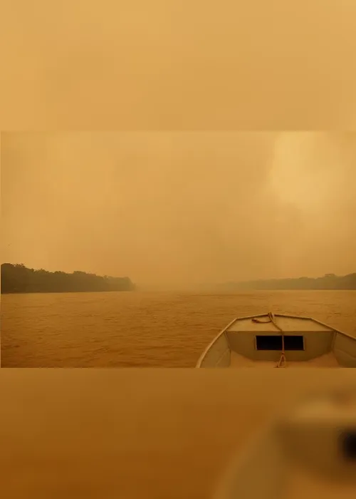 Imagem ilustrativa da imagem FOTOS| Em 14 dias do mês, Amazônia já tem mais queimadas que em todo setembro do ano passado