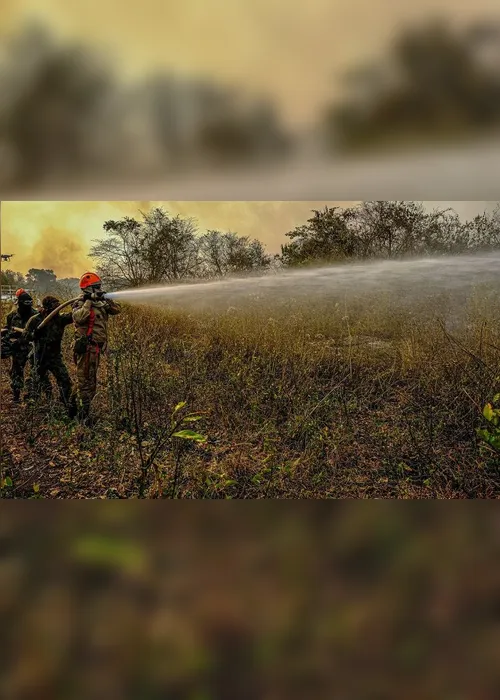 Imagem ilustrativa da imagem Mato Grosso pede ajuda da Força Nacional no combate a incêndios